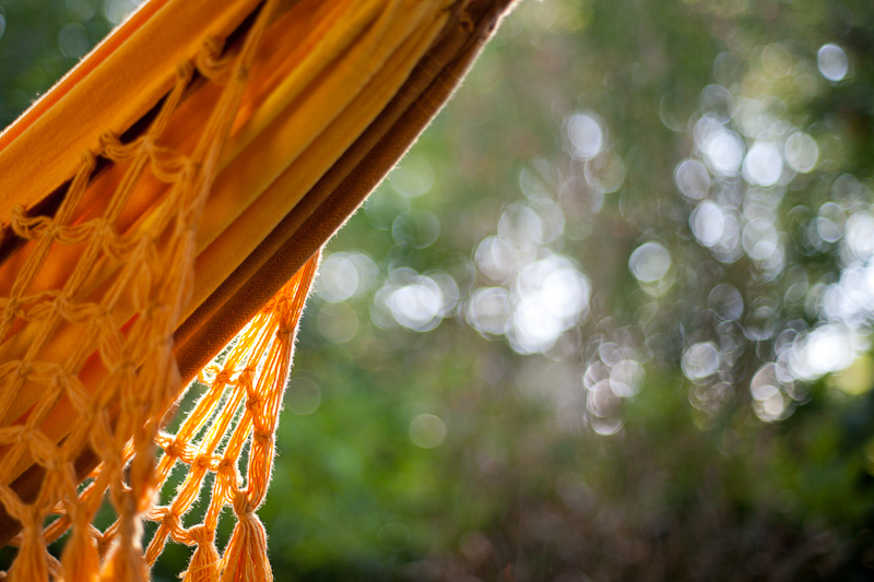Name:  nikkor50_k-1qvixq.jpg
Hits: 1403
Gre:  266,2 KB
