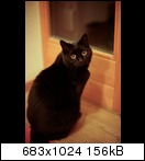 Name:  rokkor1-2-2htnu.jpg
Hits: 726
Gre:  5,9 KB