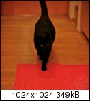 Name:  rokkor1-2-41tpub.jpg
Hits: 746
Gre:  6,8 KB