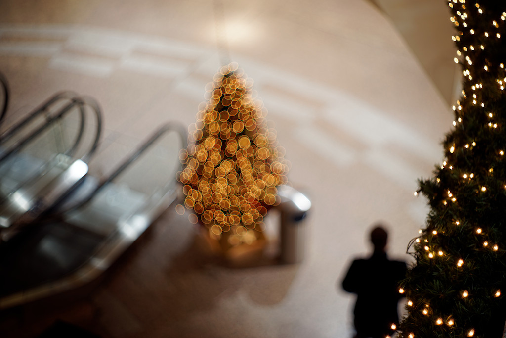 Name:  DSC00370_DxO.jpg
Hits: 846
Gre:  149,9 KB