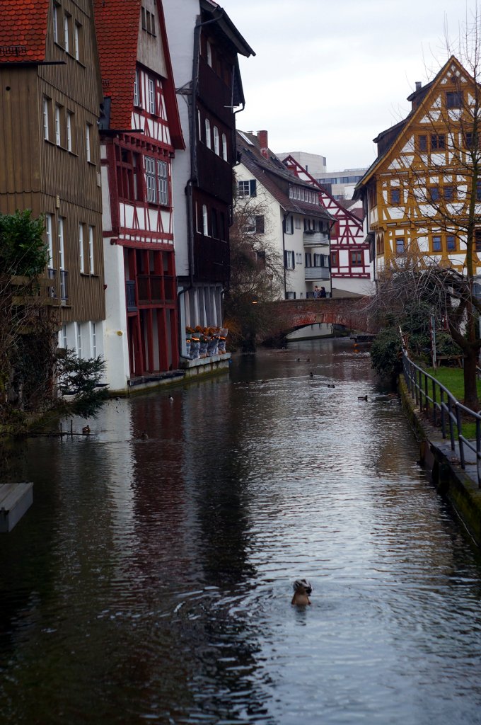Name:  contaflex tessar nex 5n Ulm.jpg
Hits: 1282
Gre:  218,5 KB