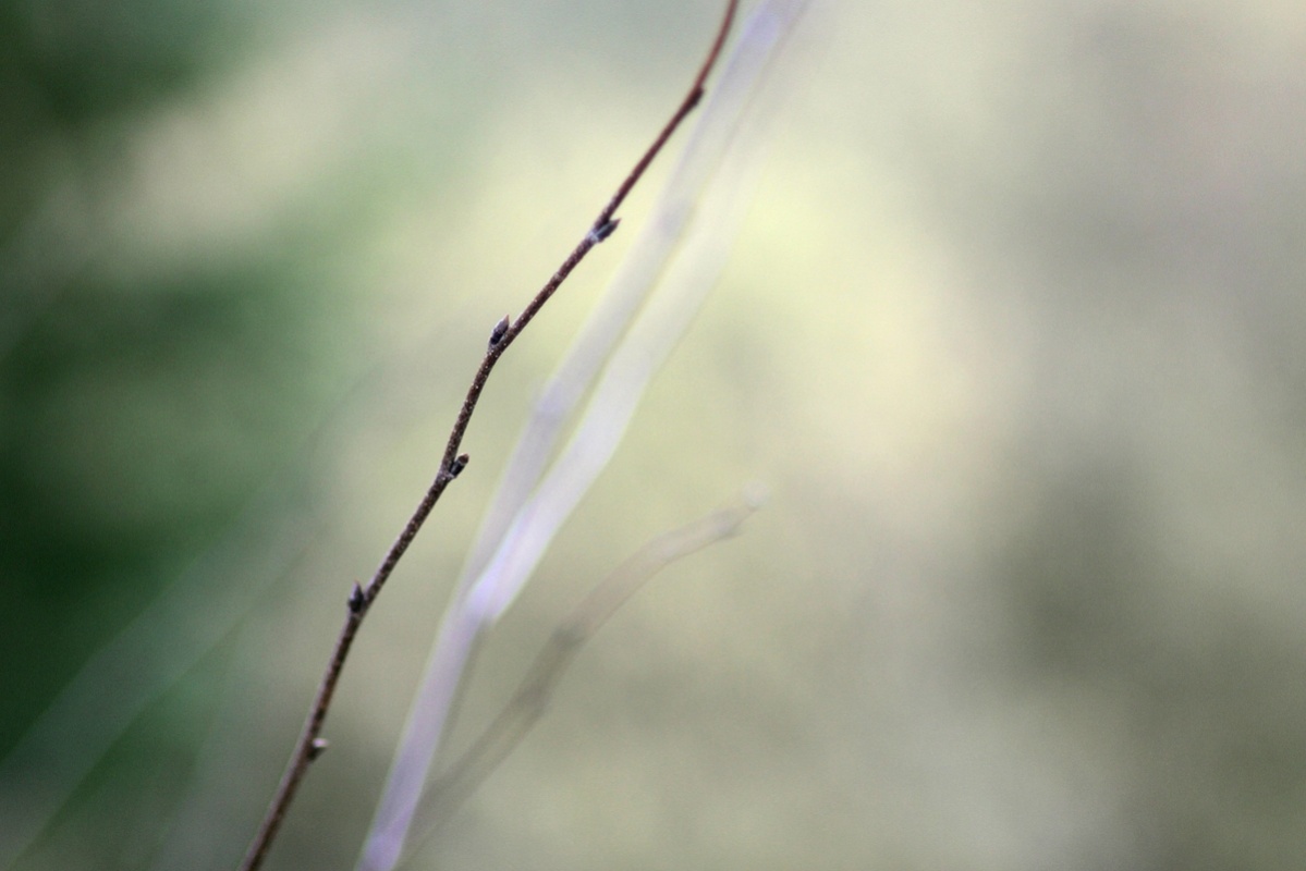 Name:  Test-Tokina-135-2,8-Ast-01-1000.jpg
Hits: 2037
Gre:  168,1 KB