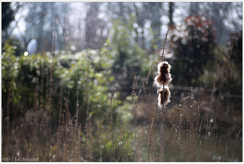 Name:  13496206985_f7503ba9e4_c.jpg
Hits: 1906
Größe:  283,6 KB