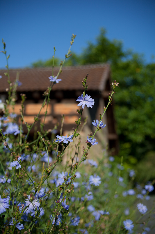 Name:  tokina35-70_k-14j0u80.jpg
Hits: 1169
Gre:  251,2 KB