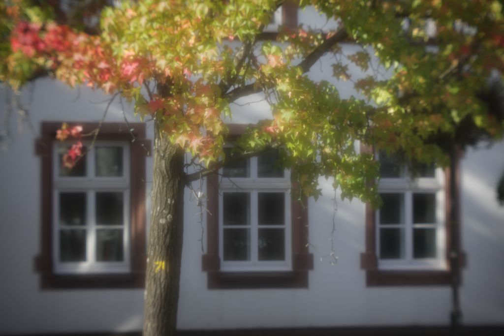 Name:  Kinostar-Retro-Herbstfenster.JPG
Hits: 904
Gre:  69,1 KB