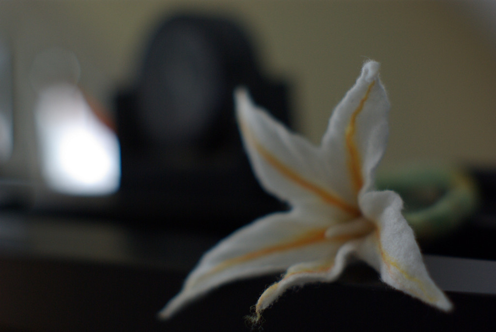 Name:  Filzblume.jpg
Hits: 869
Gre:  92,2 KB
