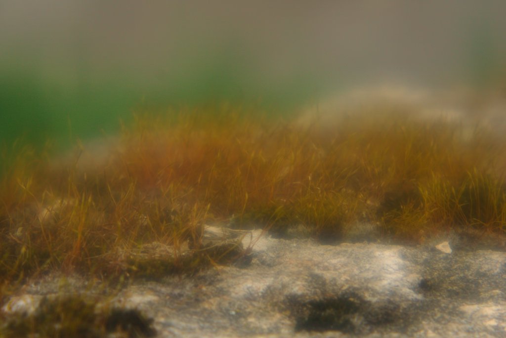 Name:  NEX7-Frontar-3.jpg
Hits: 360
Gre:  60,5 KB