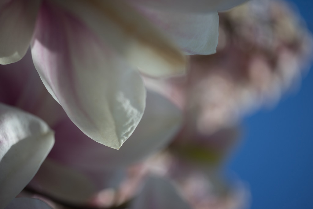 Name:  bokeh.jpg
Hits: 1583
Gre:  70,4 KB