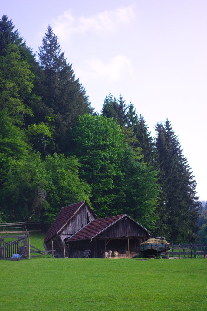 Name:  Reomar NEX7-2.jpg
Hits: 823
Gre:  145,4 KB