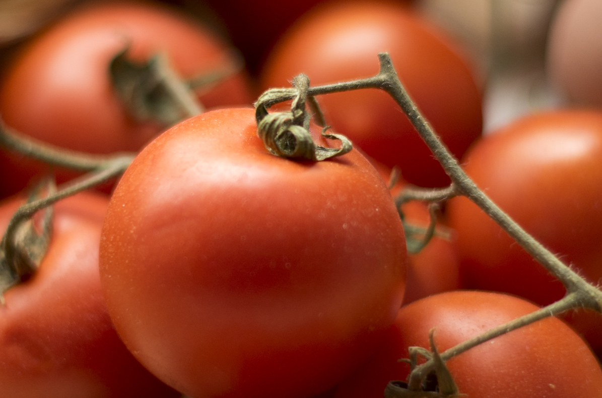 Name:  tomate_crop.jpg
Hits: 528
Gre:  316,8 KB