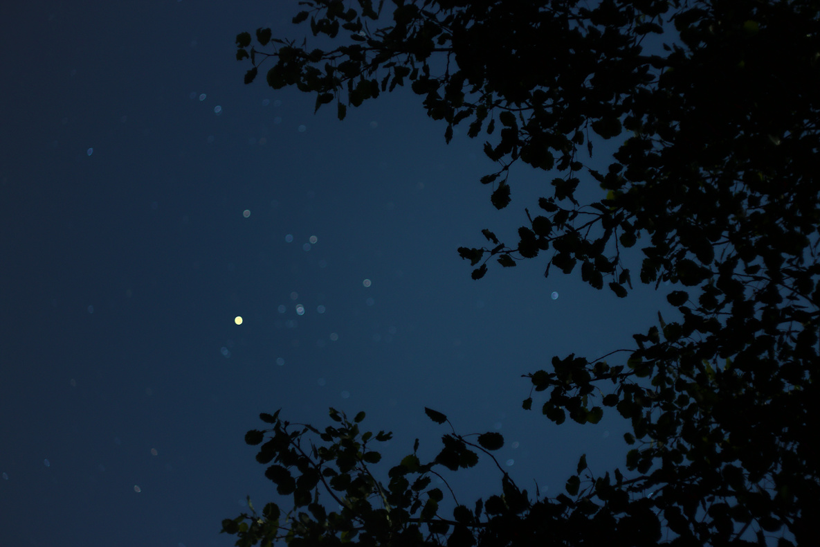 Name:  2015_09_01M_EOSM_M42Pancolar50mm_Ruednitz_Hyaden_0088_DT01_1185x790pix.jpg
Hits: 822
Gre:  238,7 KB