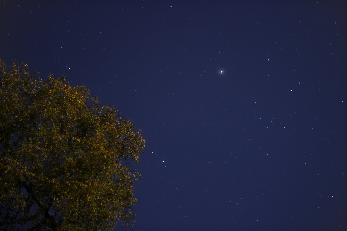 Name:  2015_10_26_EOSM_SMCPentaxA50mm_Fangschleuse_Mond_Birke_Fuhrmann_0050_DT01_1185x790pix.jpg
Hits: 933
Gre:  227,2 KB
