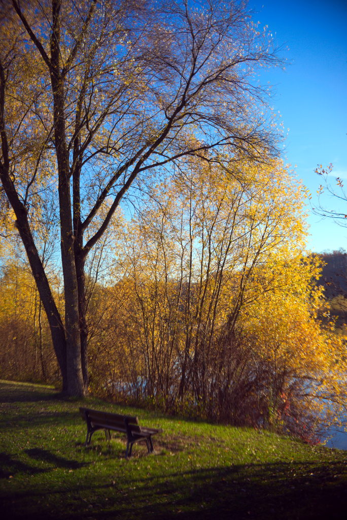 Name:  DSC09084rawtherapeegimp.jpg
Hits: 609
Gre:  256,1 KB