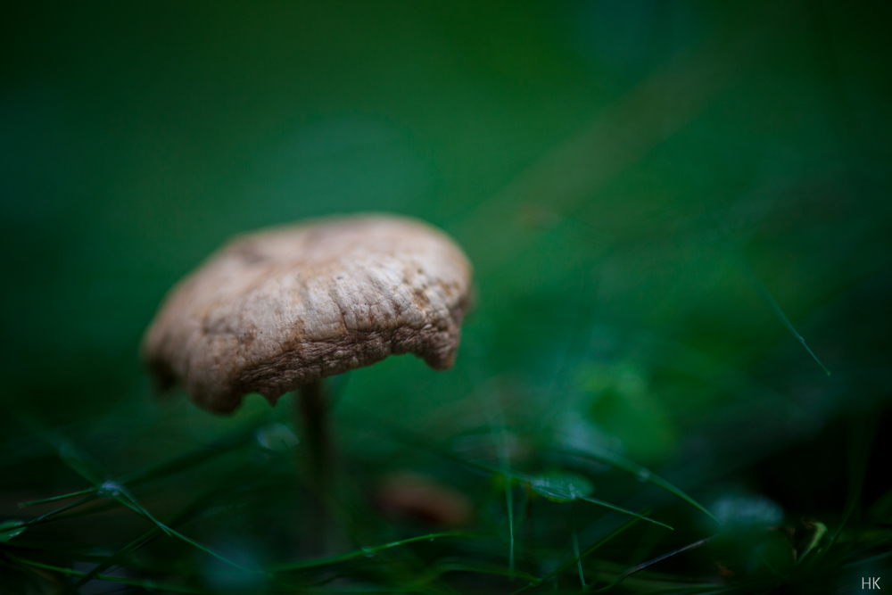Name:  zuiko_2-100_k-13.jpg
Hits: 1071
Gre:  191,2 KB