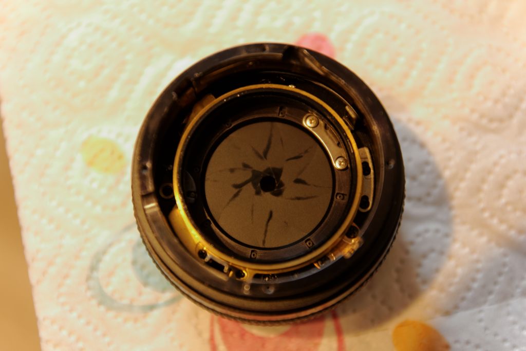 Name:  IMG_6914_DxO.jpg
Hits: 1229
Gre:  73,8 KB