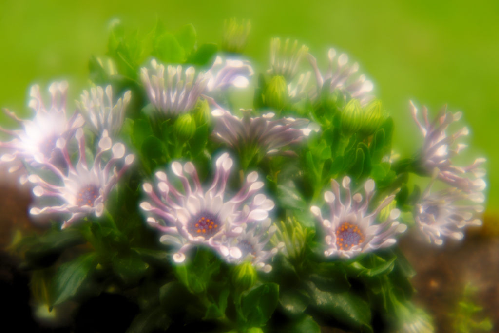 Name:  DSC06789darktable2_0gimp.jpg
Hits: 534
Gre:  132,2 KB