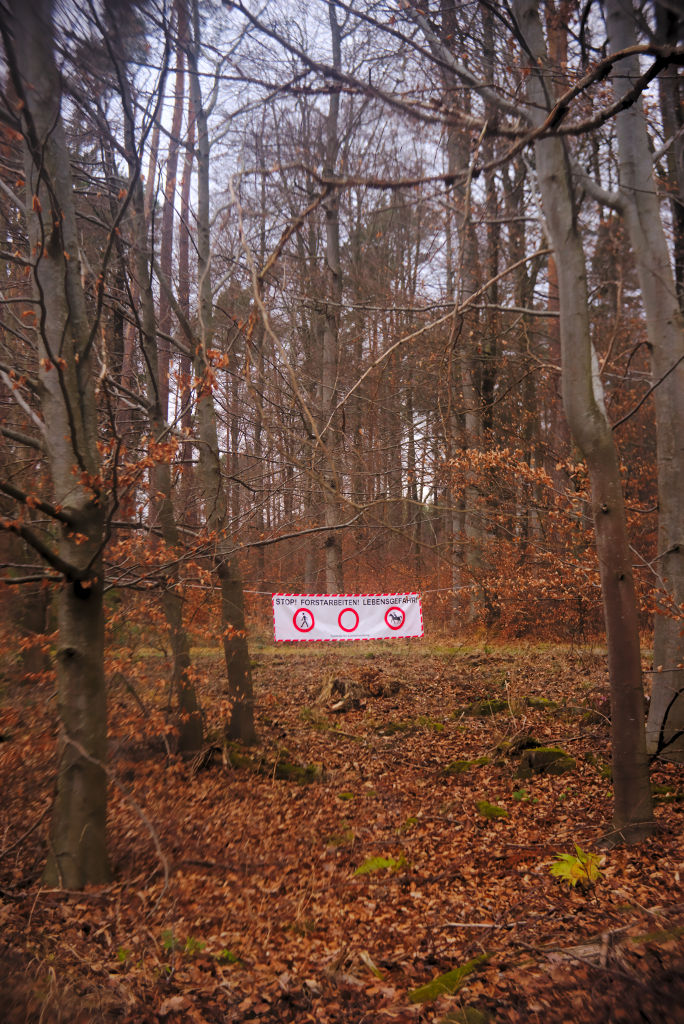 Name:  DSC09482darktable2_0.jpg
Hits: 604
Gre:  272,9 KB