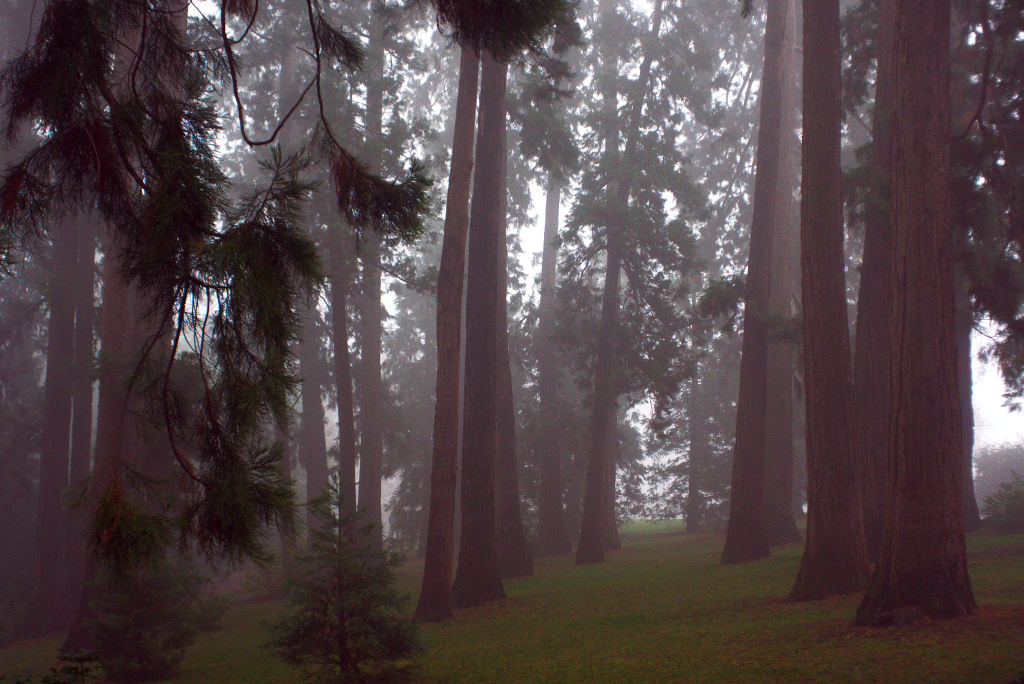 Name:  DSC08816darktable2_0.jpg
Hits: 579
Gre:  182,9 KB