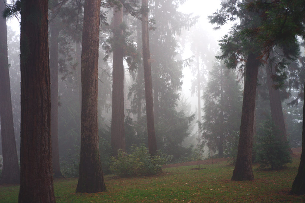 Name:  DSC09568darktable2_0gimp.jpg
Hits: 565
Gre:  152,0 KB