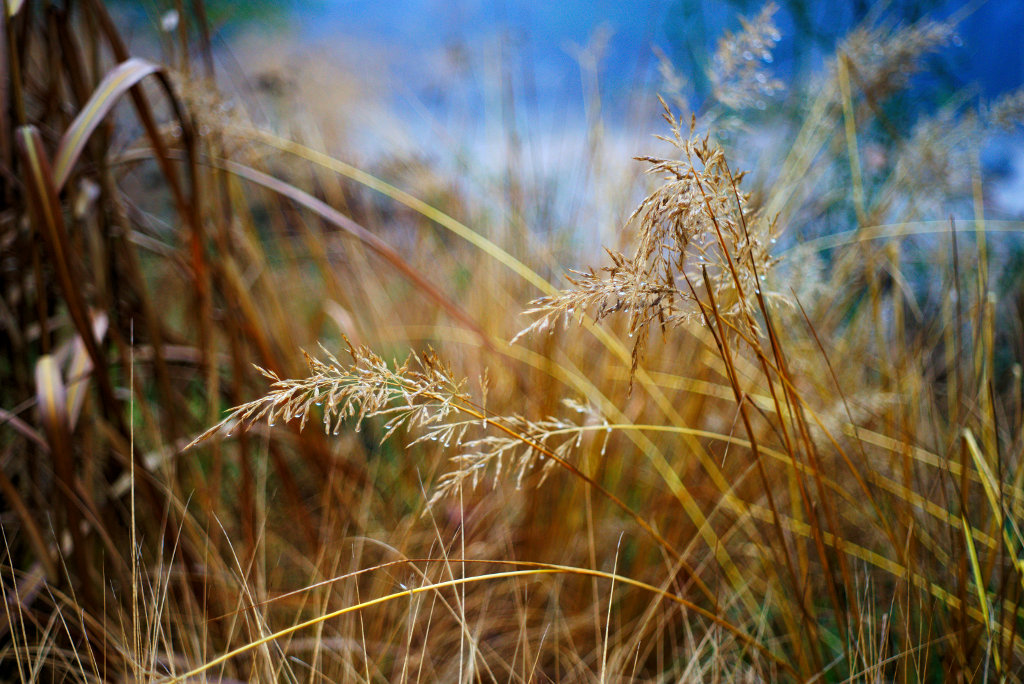 Name:  DSC09554darktable2_0gimp.jpg
Hits: 562
Gre:  242,9 KB