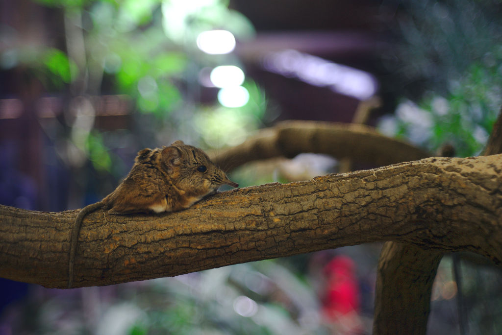 Name:  DSC09530darktable2_0gimp.jpg
Hits: 581
Gre:  140,8 KB
