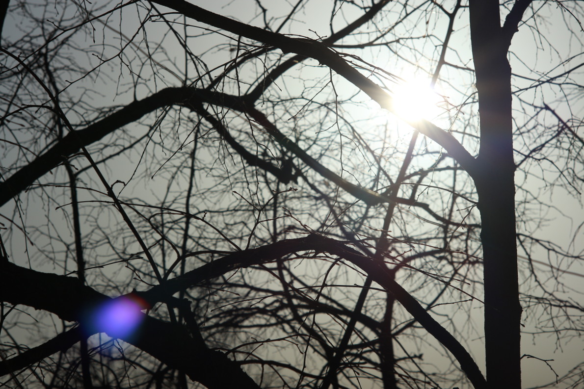 Name:  IMG_0009_JPGooEOSM_DCC.JPG
Hits: 944
Gre:  277,5 KB