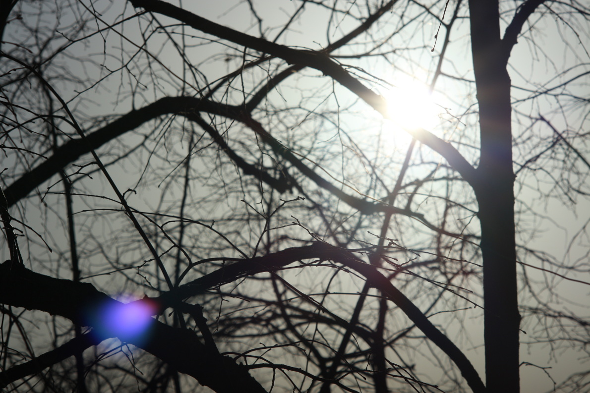 Name:  IMG_0010_JPGooEOSM_DCC.JPG
Hits: 928
Gre:  287,4 KB