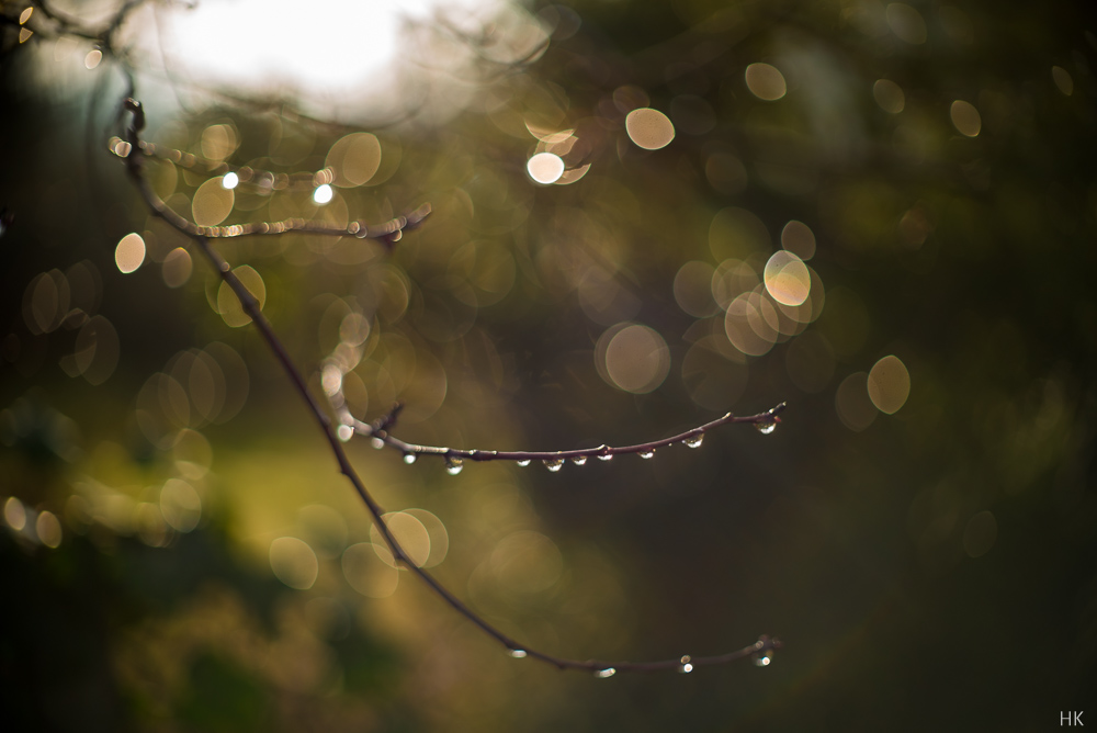 Name:  zuiko_PEN_40-3.jpg
Hits: 610
Gre:  174,5 KB