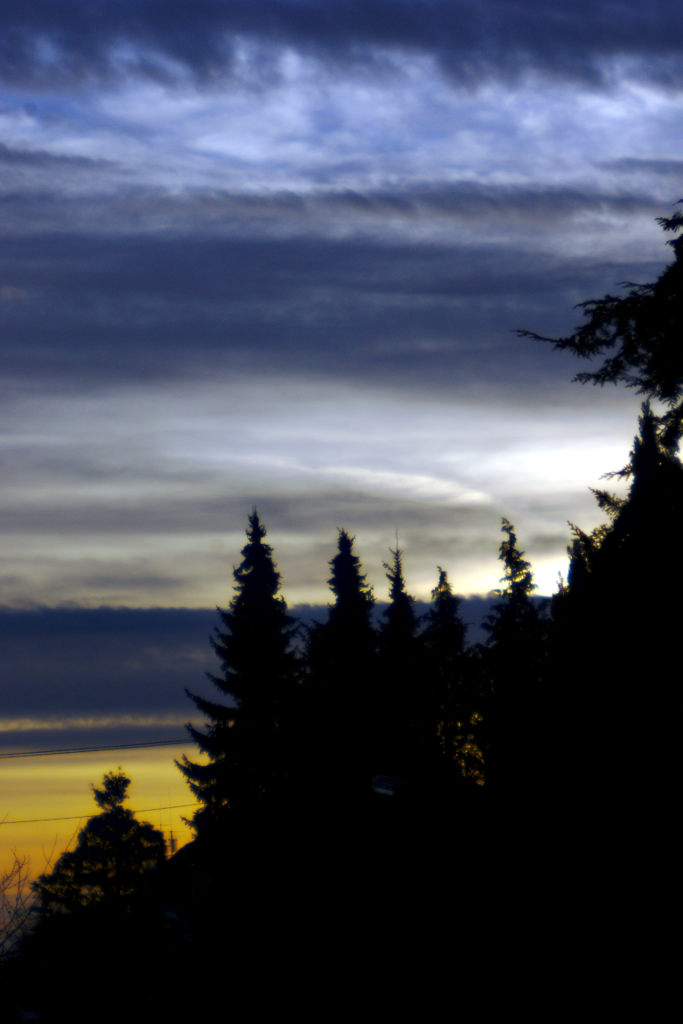 Name:  DSC00882darktable2_0gimp.jpg
Hits: 393
Gre:  111,4 KB