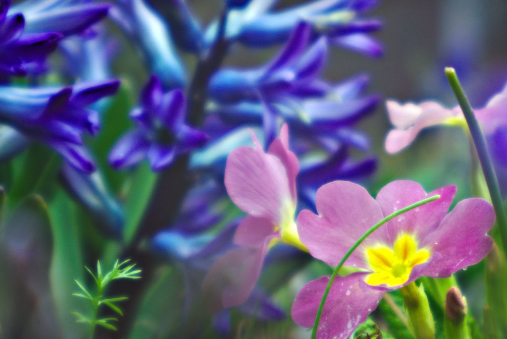 Name:  DSC09355darktable2_0.jpg
Hits: 387
Gre:  150,8 KB