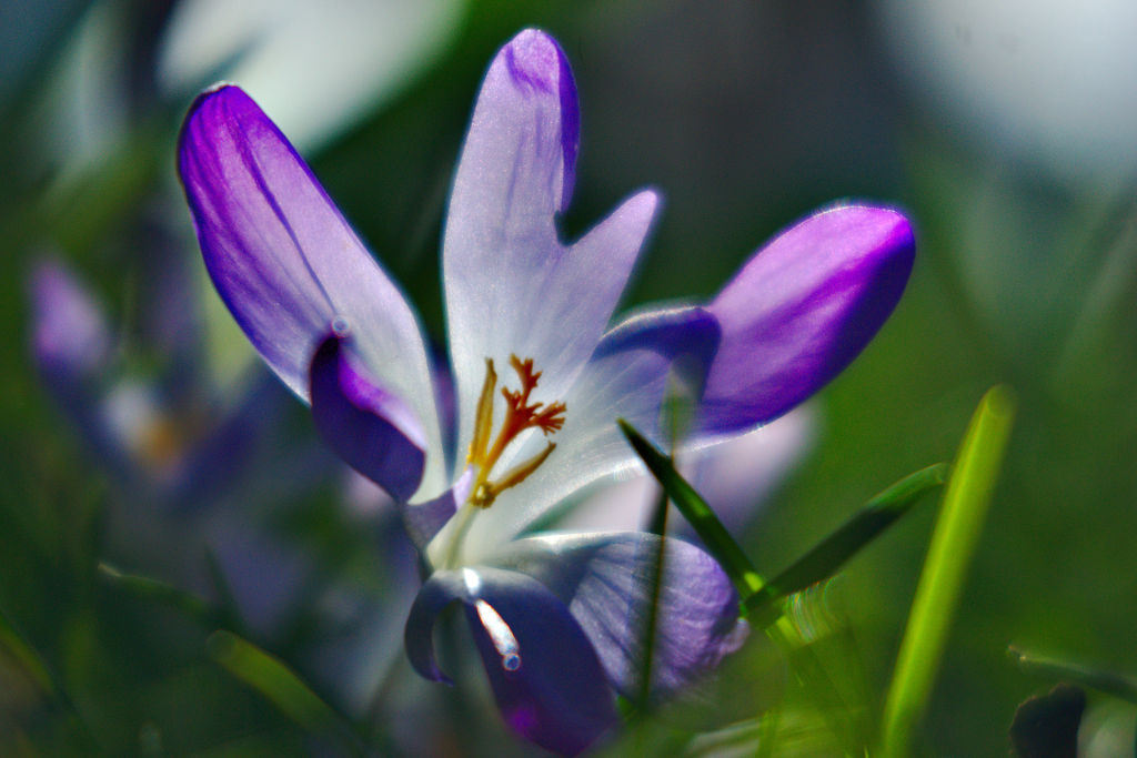 Name:  DSC00886darktable2_0.jpg
Hits: 374
Gre:  142,7 KB