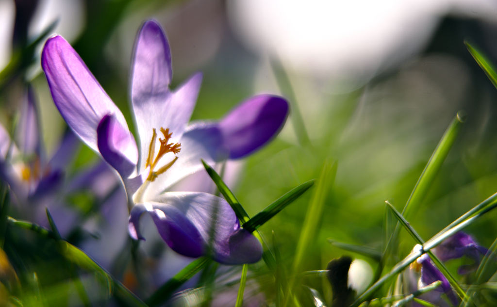 Name:  DSC00515darktable2_0gimp.jpg
Hits: 352
Gre:  124,8 KB