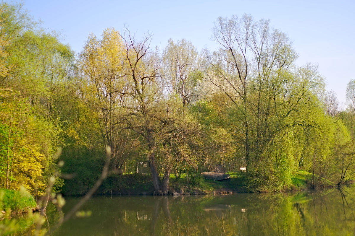 Name:  DSC02600darktable2_0gimp.jpg
Hits: 600
Gre:  293,3 KB
