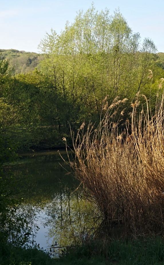 Name:  DSC02622darktable2_0.jpg
Hits: 531
Gre:  298,6 KB