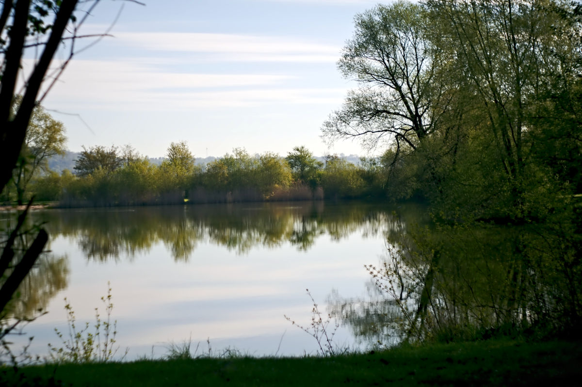 Name:  DSC02629darktable2_0.jpg
Hits: 556
Gre:  214,8 KB