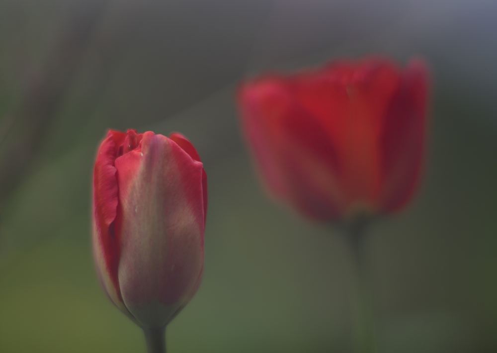 Name:  k-DSC01342-LR-1.jpg
Hits: 1050
Gre:  270,1 KB