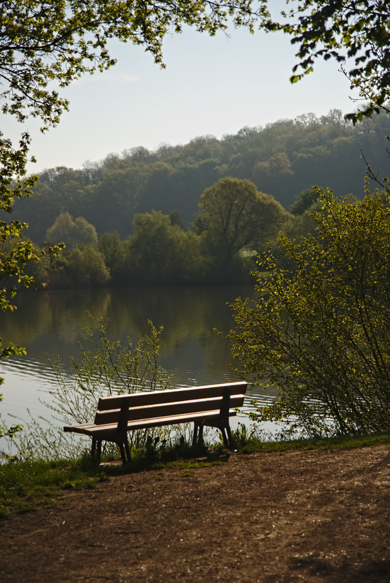 Name:  DSC00792darktable2_0.jpg
Hits: 476
Gre:  280,2 KB