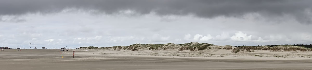 Name:  DSC00888darktable2_0.jpg
Hits: 404
Gre:  72,1 KB