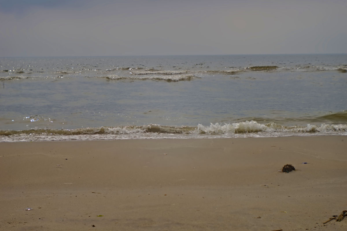 Name:  DSC01201darktable2_0.jpg
Hits: 409
Gre:  118,2 KB