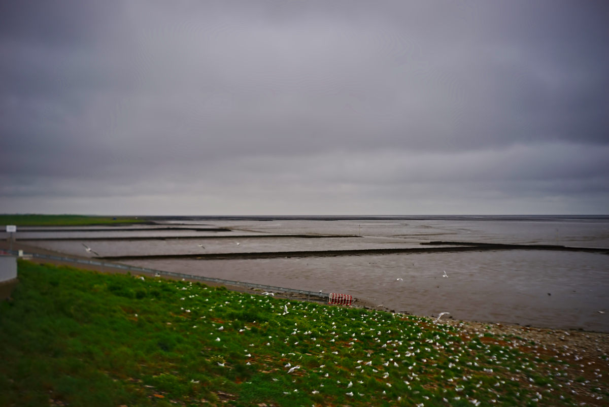 Name:  DSC01391darktable2_0gimp.jpg
Hits: 310
Gre:  147,4 KB