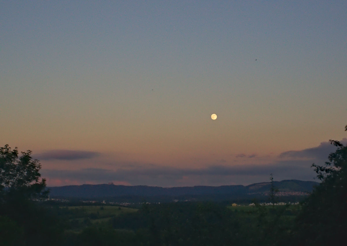 Name:  DSC00927darktable2_0.jpg
Hits: 581
Gre:  120,8 KB