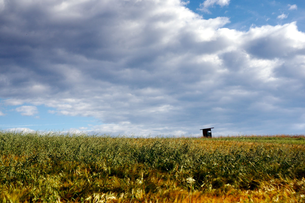 Name:  _DSC1458darktable2_0.jpg
Hits: 528
Gre:  224,9 KB