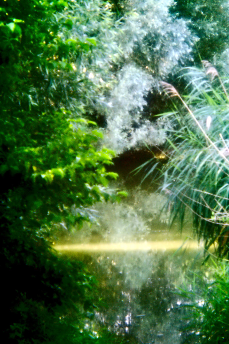 Name:  DSC02733darktable2_0.jpg
Hits: 424
Gre:  249,4 KB