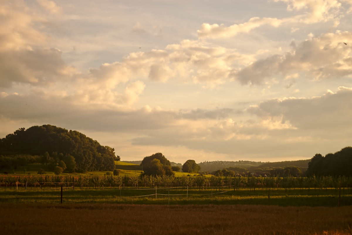 Name:  DSC02866darktable2_0.jpg
Hits: 398
Gre:  138,4 KB