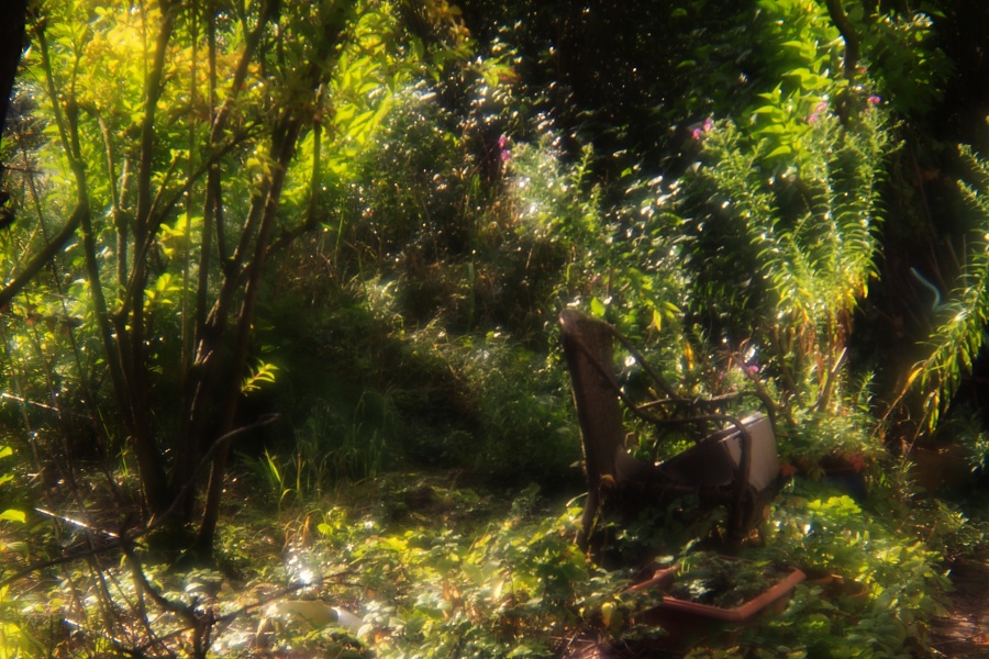 Name:  DSC08090 (1)_dig.jpg
Hits: 453
Gre:  295,0 KB