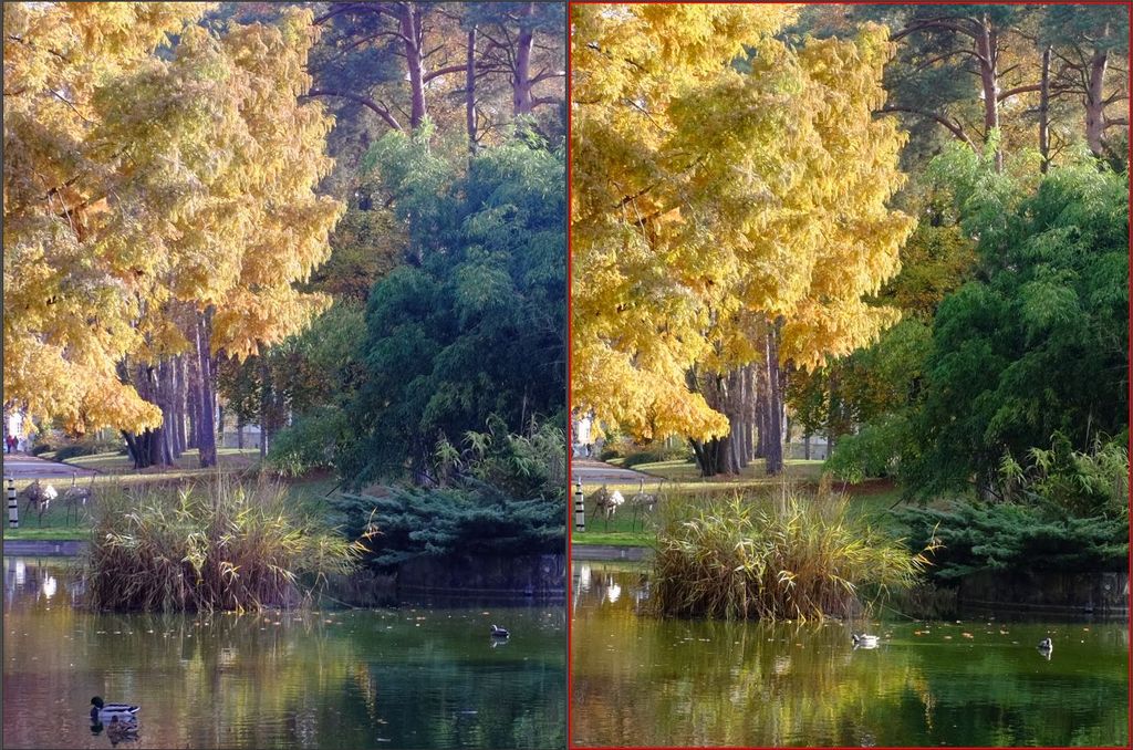 Name:  T35XF35-8.0C.JPG
Hits: 697
Gre:  211,2 KB