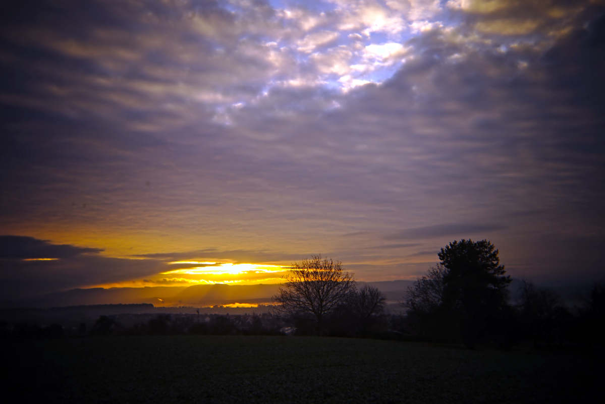 Name:  DSC03708darktable2_0gimp.jpg
Hits: 507
Gre:  93,4 KB