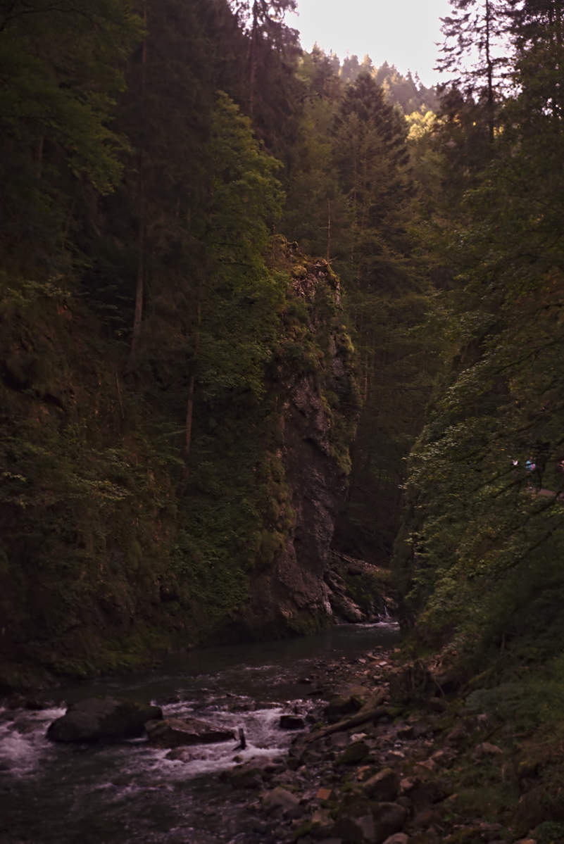 Name:  DSC03162darktable2_0.jpg
Hits: 1079
Gre:  136,6 KB