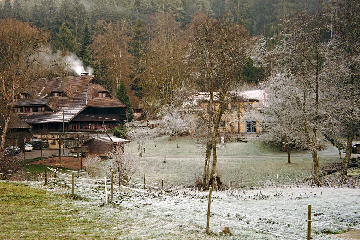 Name:  DSC03820darktable2_0.jpg
Hits: 718
Gre:  286,5 KB