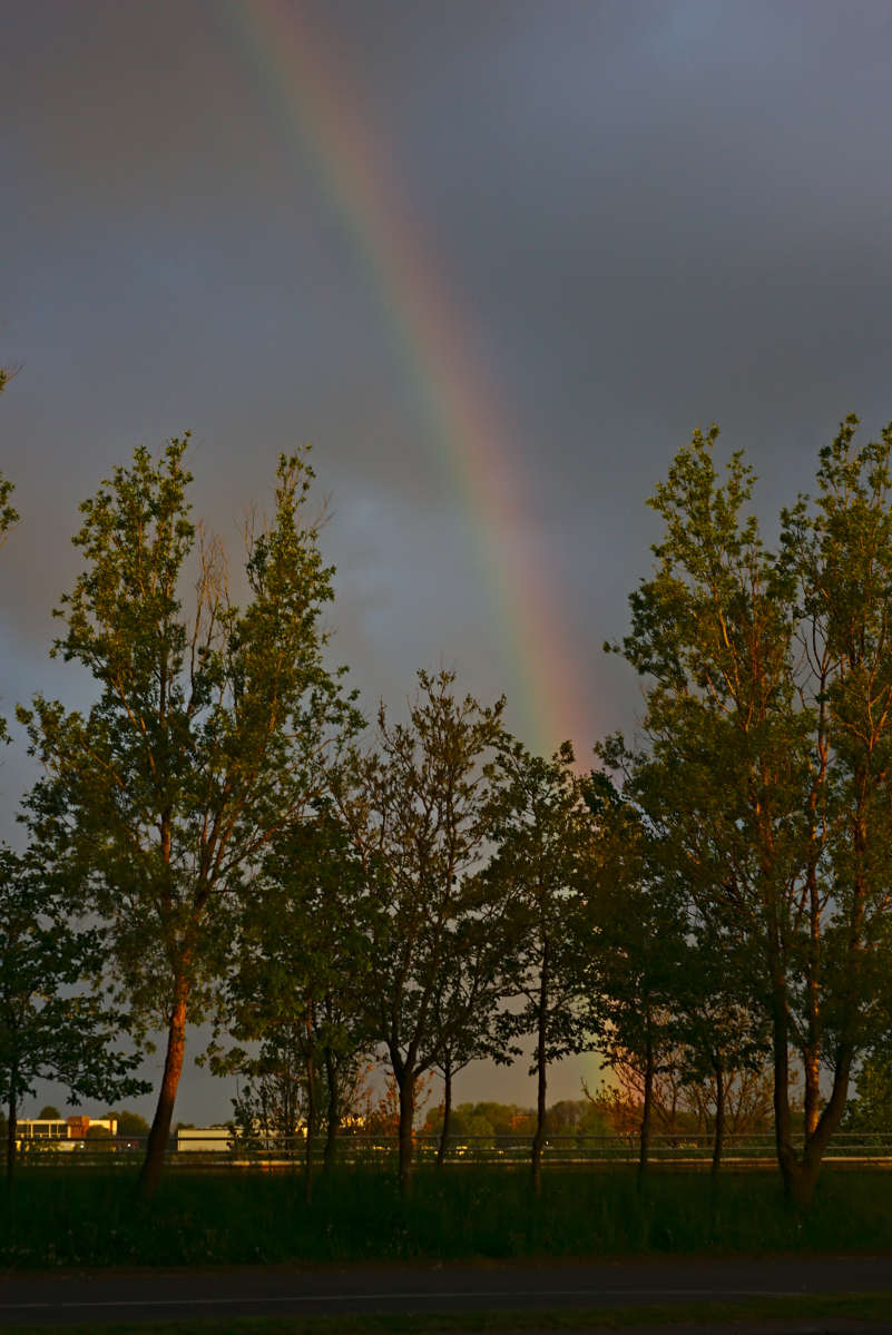 Name:  DSC09453darktable2_2_1.jpg
Hits: 402
Gre:  148,7 KB